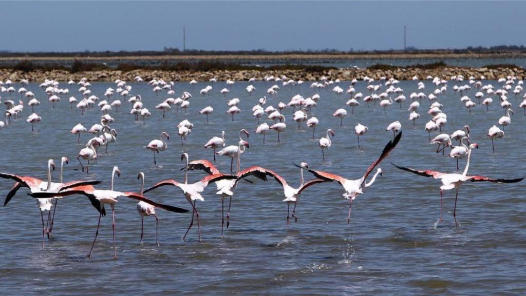 L'Etoile De Mer Сет Экстерьер фото